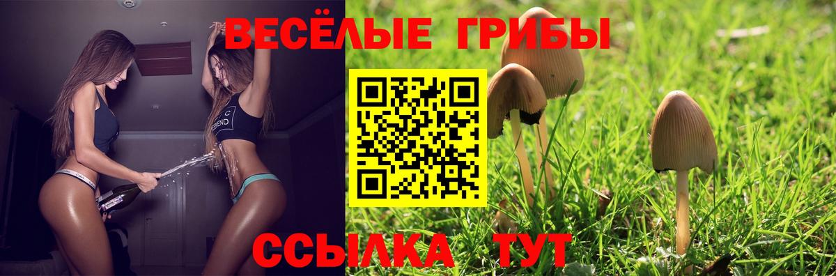 Галлюциногенные грибы ЛСД Рубцовск